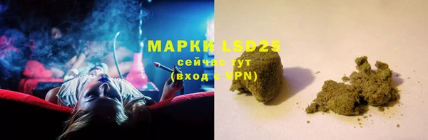 мяу мяу мука Лабытнанги