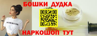 прущие грибы Будённовск