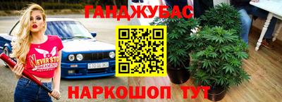 прущие грибы Будённовск