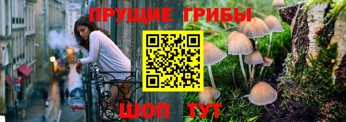 Псилоцибиновые грибы Cubensis  Вход с VPN  Нарьян-Мар 